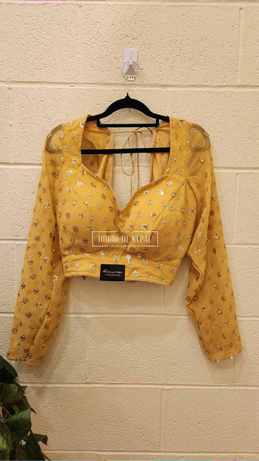 Full Sleeve mirror work Boutique Blouse - House of Nepal