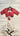Half Sleeve Designer Blouse Red Sweetheart - House of Nepal