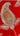 Pure Dola Silk Saree with Full Hand Embroidery Work Shakti - House of Nepal