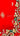 Tatcha Silk with Handwork Border and Premnagari Pattern Manasa - House of Nepal