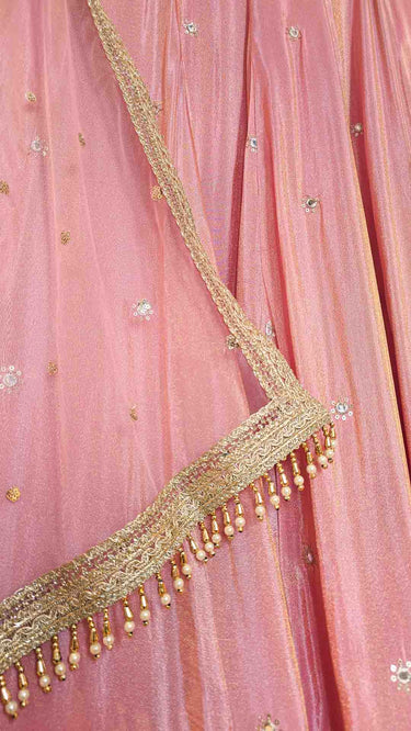 Cosmos Mirrorwork Lehenga in Pink