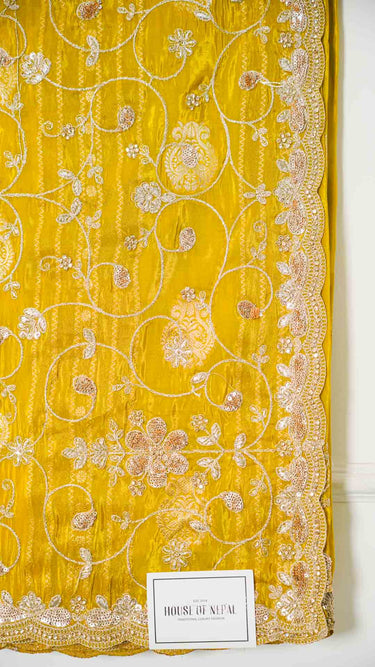 Dola Silk Zari Jaal Saree