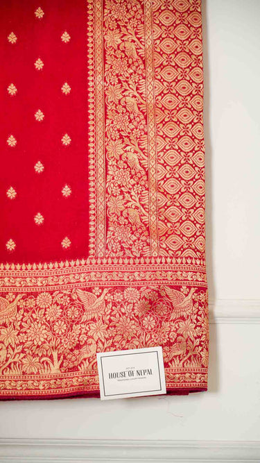 Silk Butti Saree with Stone
