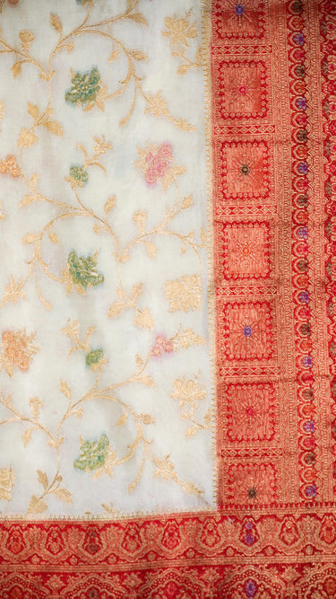 Dola Meenakari Jaal Saree with Contrast Border