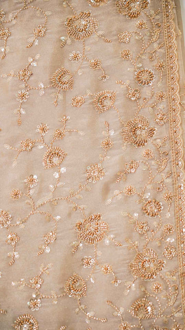Panache Hand Embroidered Fendi Saree with Stitched Blouse