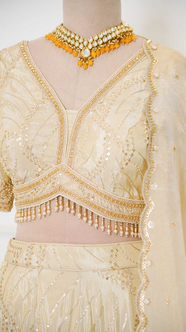 Spiral Cosmos Hand Embroidered Lehenga