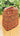 Dhaka Topi 15