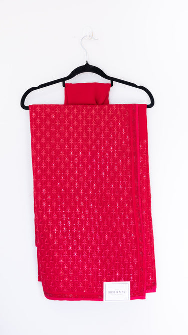 Georgette Sequin Saree with Resham Jaal - House of Nepal