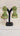 Golden mix Cage Earrings light Green