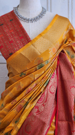 Dual Shade Dola Silk Saree