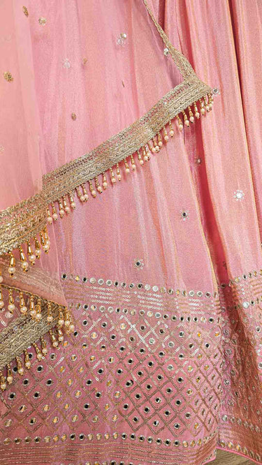 Cosmos Mirrorwork Lehenga in Pink