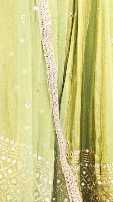 Cosmos Mirrorwork Lehenga in Mint