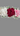 Multicolour Rose Flower Hair Clip Iris