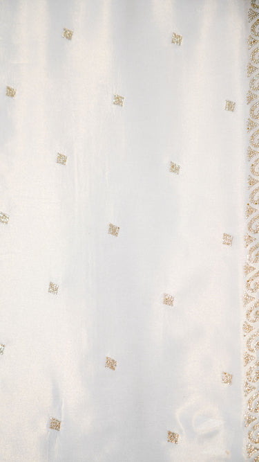 Metal Hue Saree with Stone Embroidery