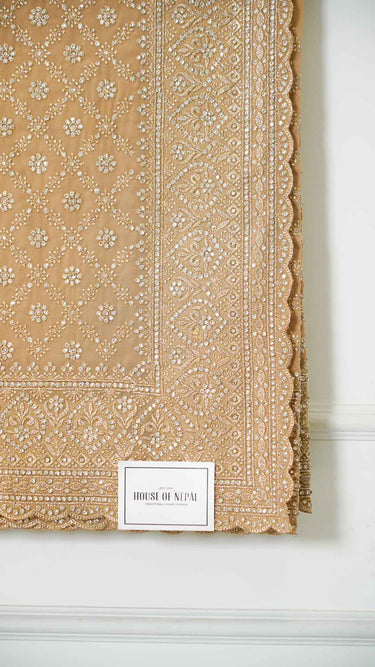 Georgette Zari Jaal Saree with Embroidery