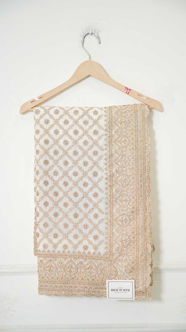 Georgette Zari Jaal Saree with Embroidery