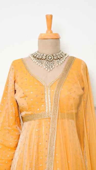 Butti Anarkali in Fendi Silk