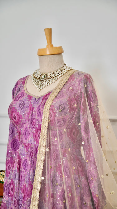 Mauve Multicolor Anarkali Suit