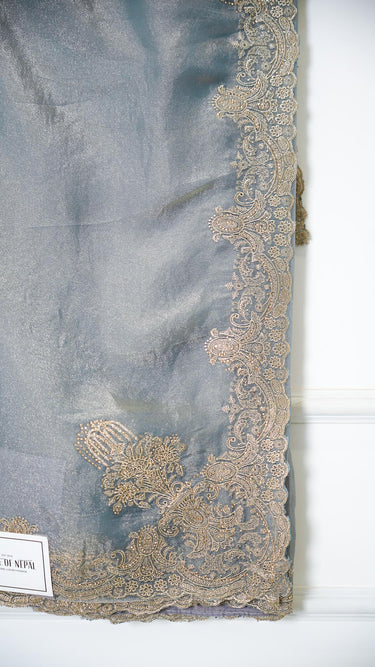 Shine Shimmer Saree with Zari Border