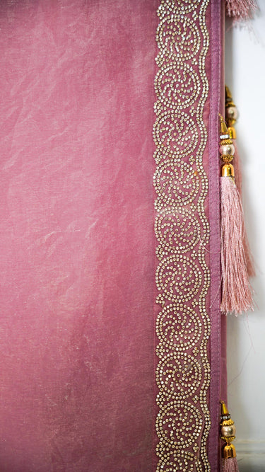 Fendi Silk Saree with Stone Border