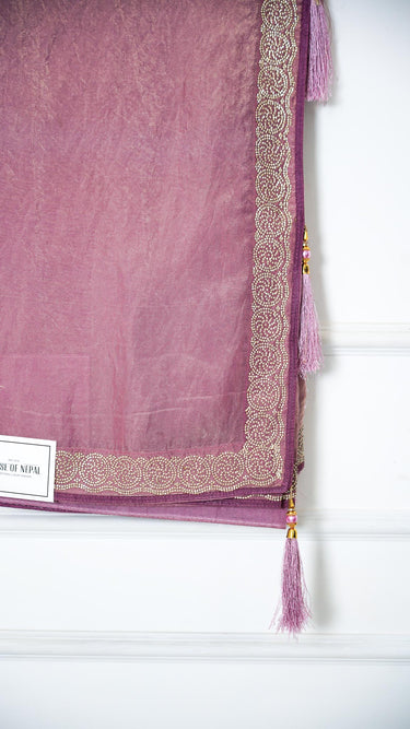 Fendi Silk Saree with Stone Border