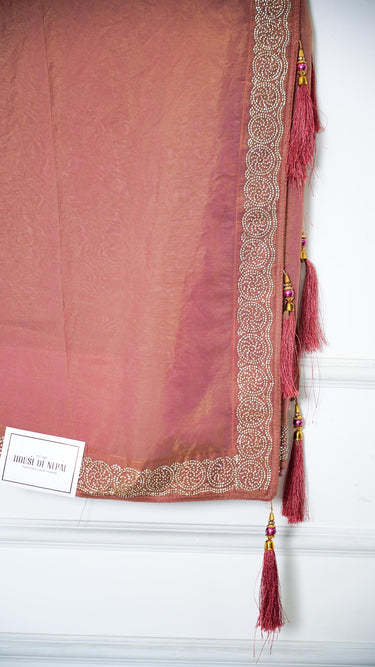 Fendi Silk Saree with Stone Border