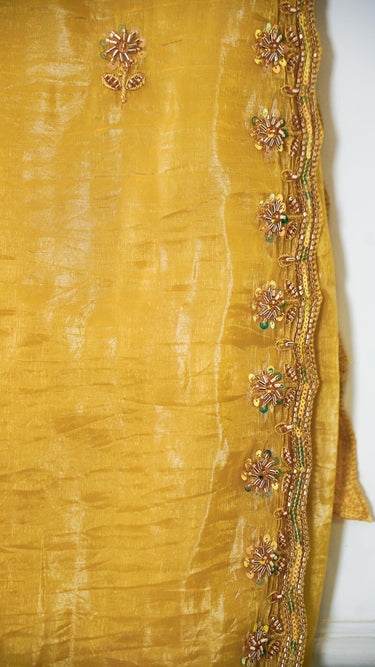 Fendi Crush Saree with Stonework