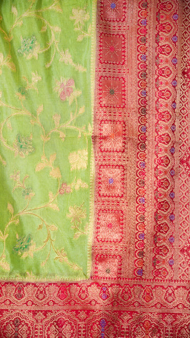 Dola Meenakari Jaal Saree with Contrast Border