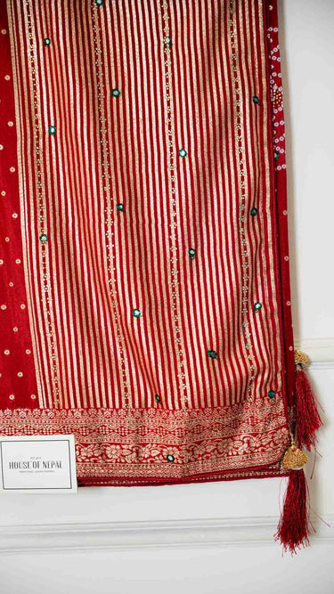 Dola Silk Saree with Foil Chunari Printwork