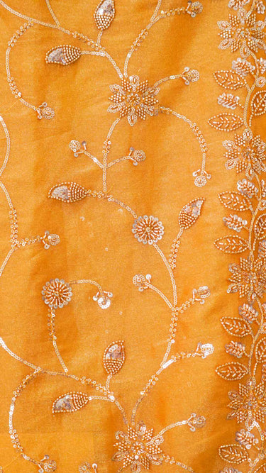 Fendi Handwork Jaal Saree with Stitched Blouse