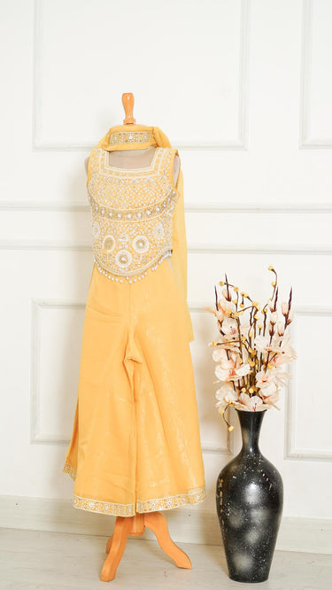 Girls Indowestern Sarara Suit with Handembroidery