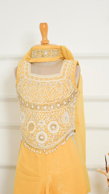 Girls Indowestern Sarara Suit with Handembroidery