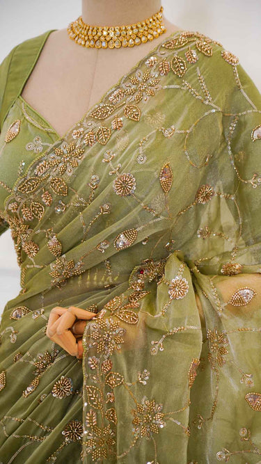 Fendi Handwork Jaal Saree with Stitched Blouse