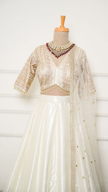 Cream Zariwork Patti Border Lehenga in Silk