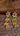 Gold Imitation Yarling Earrings