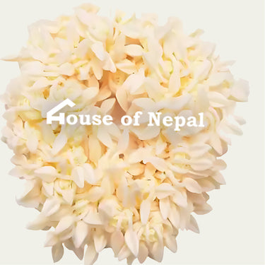 Gajra - House of Nepal
